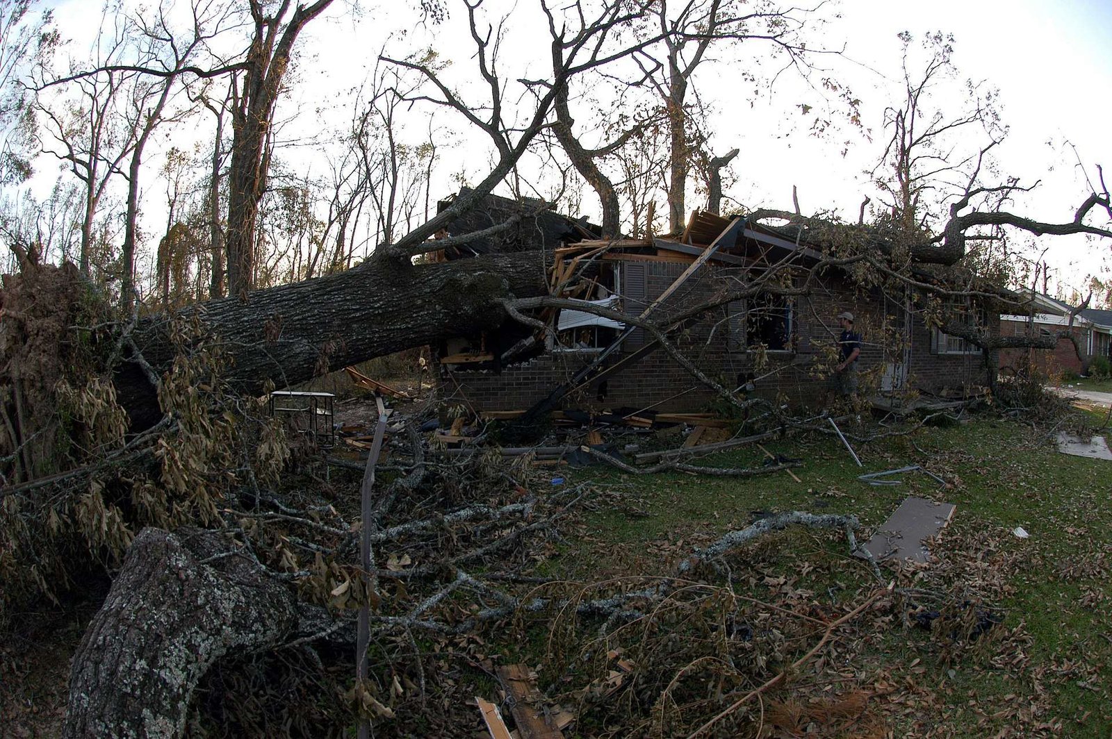 Large fallen trees lying across a damaged house in Alabama after Hurricane Ivan