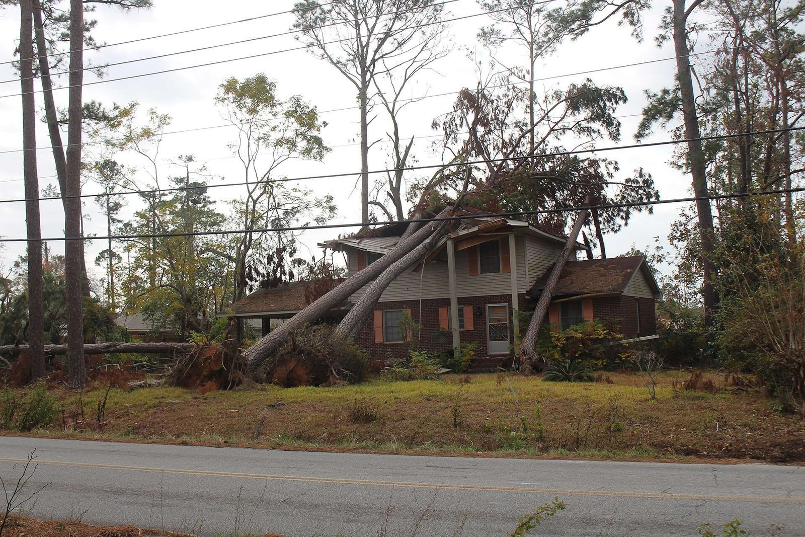 Uprooted trees lying across a badly damaged house after a hurricane