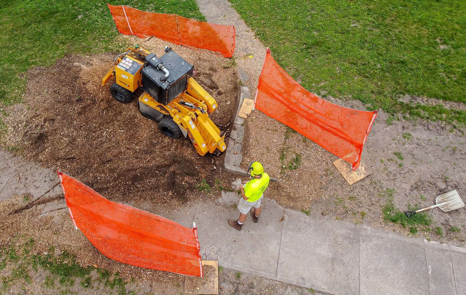 Overhead view of a stump grinder's cutting wheel chewing a tree stump into wood chips
